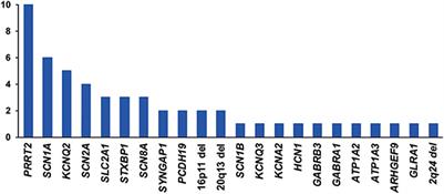 Diagnostic Yield of Epilepsy Panel Testing in Patients With Seizure Onset Within the First Year of Life